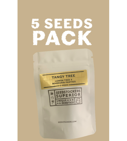 Gelato 41 auto (3) Seed Stockers