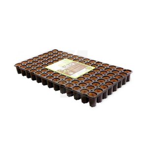 Bandeja Dried Eazy Plug redondo (3.5 x 5 cm) 104 alv