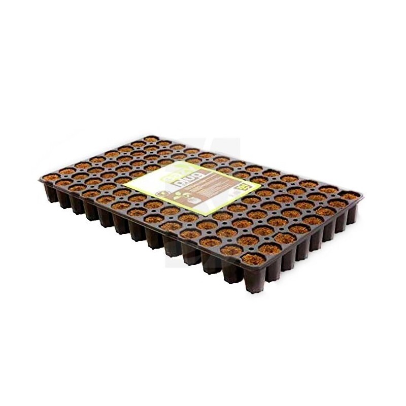 Bandeja Dried Eazy Plug redondo (3.5 x 5 cm) 104 alv