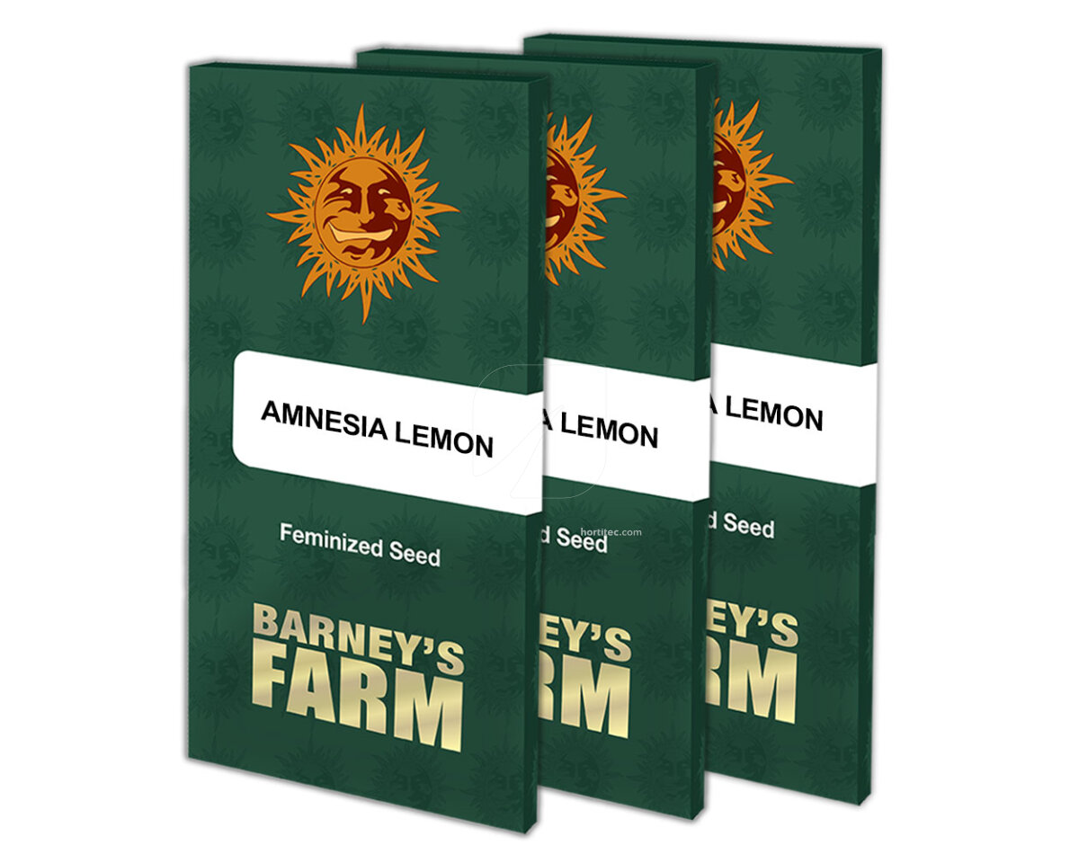 Amnesia lemon (3) 100% barney's farm seeds