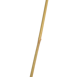 Tutor bambu 1,50 m (500 u) 8/10