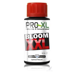 Bloom xxl 100 ml