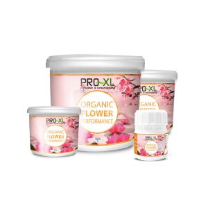 Organic flower performance 500 g