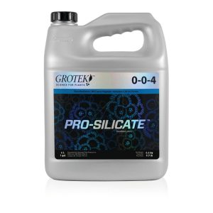 Pro silicate 4 l