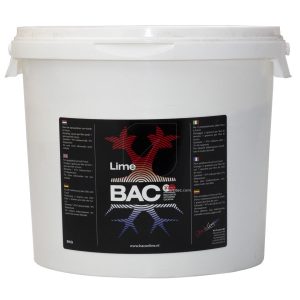 Lime Chalk Calcio en polvo 5 Kg
