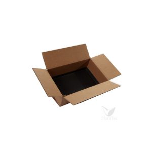 Caja transporte (59 x 39 x 21 cm)