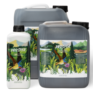 Prosper 10 L Crazy Hills