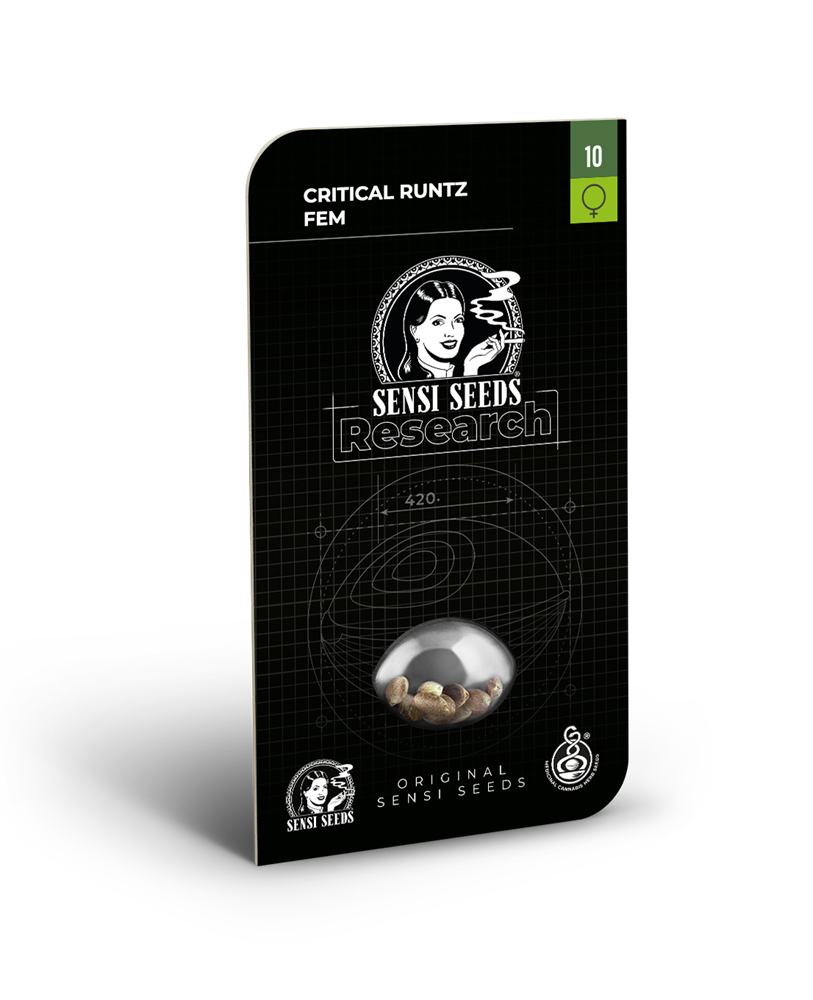 Critical runtz (5) 100% Sensi Seeds