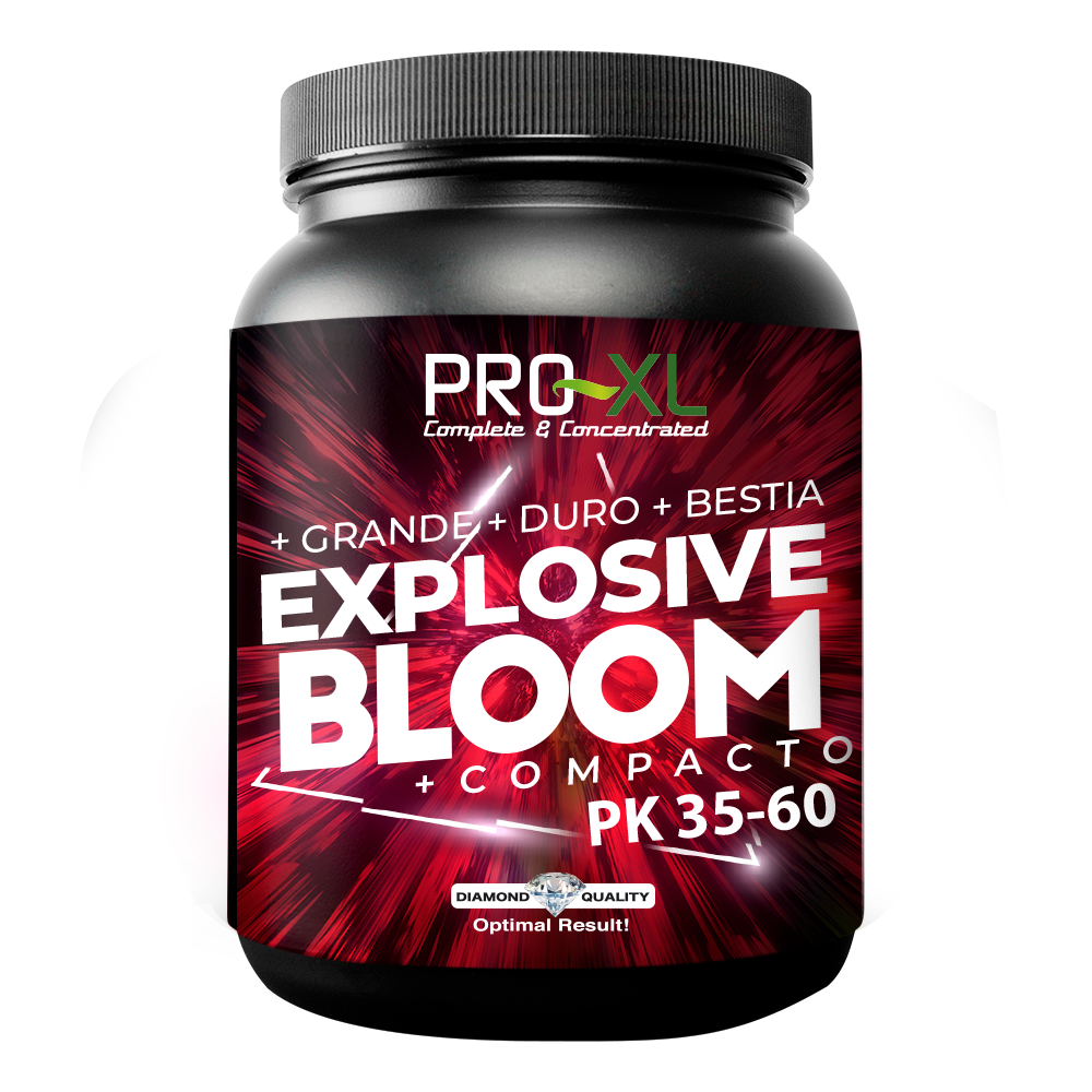 Explosivo Bloom 1 kg Pro-XL