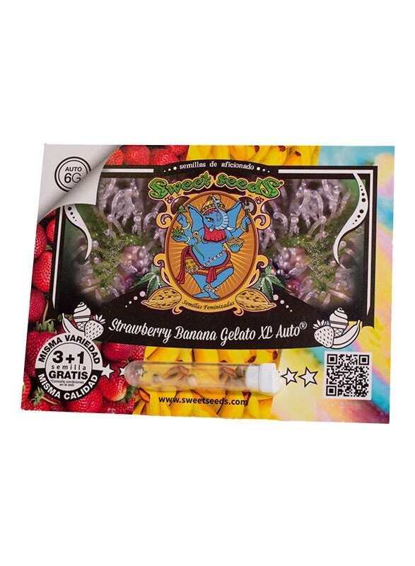 Strawberry Banana Gelato XL auto (5) Sweet Seeds