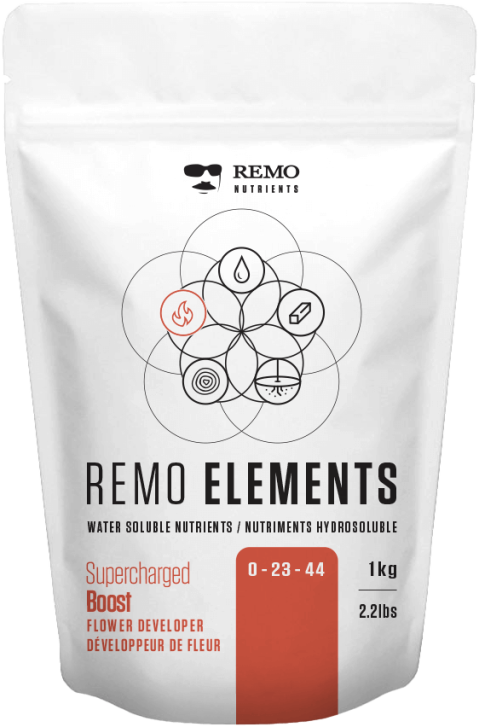 Elements Supercharged Boost 1kg Remo