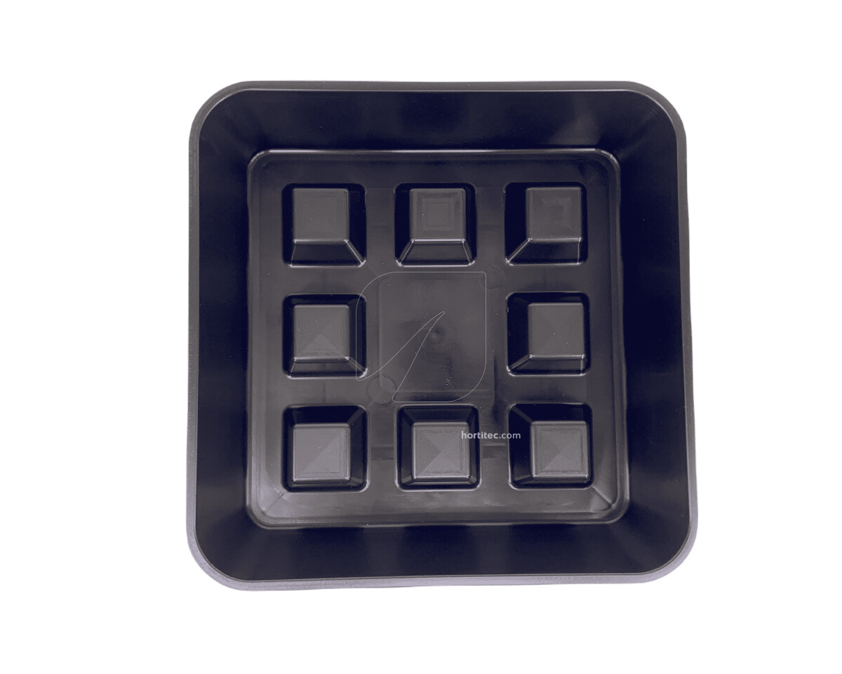 Raised square plate 50 pcs