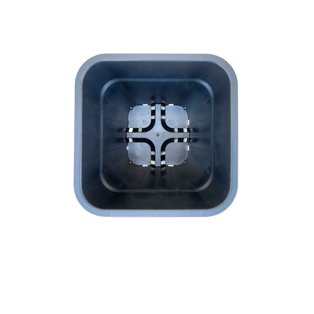 Maceta cuadrada Hulk (15 x 15 x 20 cm) 3,5 L (33 uds) - Image 11