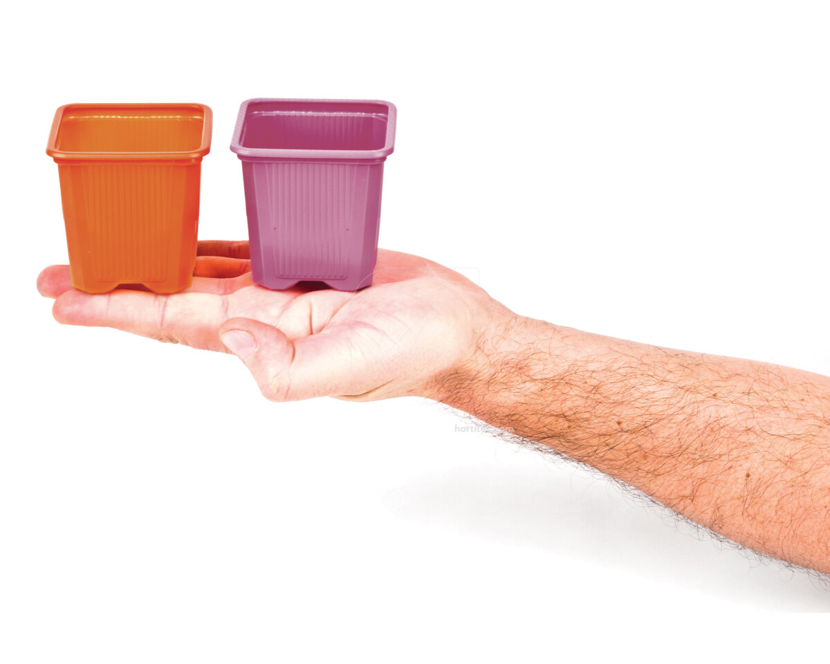 Maceta naranja (7 x 7 x 6,5 cm) (115 u)