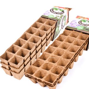 Woodee Strip (5 x 5 cm) (60 uds) HGA