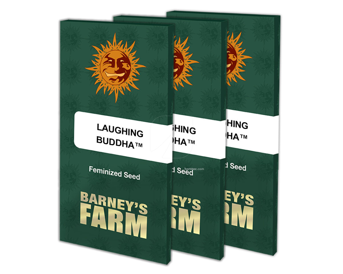Laughing buddha (1) 100% barney's farm seeds