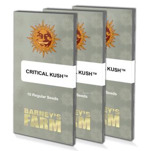 Critical Kush (10)