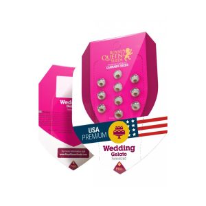 Wedding Gelato