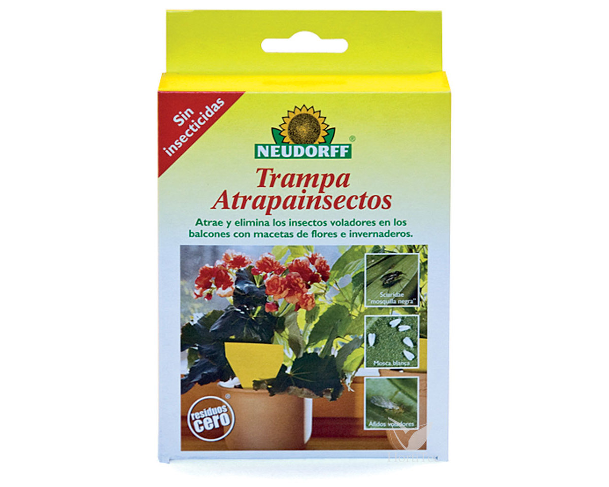 Trampas adhesivas amarillas