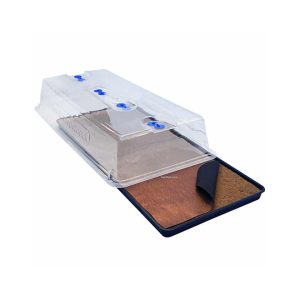 Kit Basico Easy2propagate