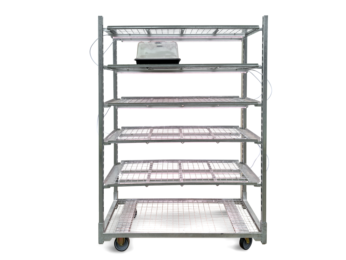 Carro de propagación - Image 2