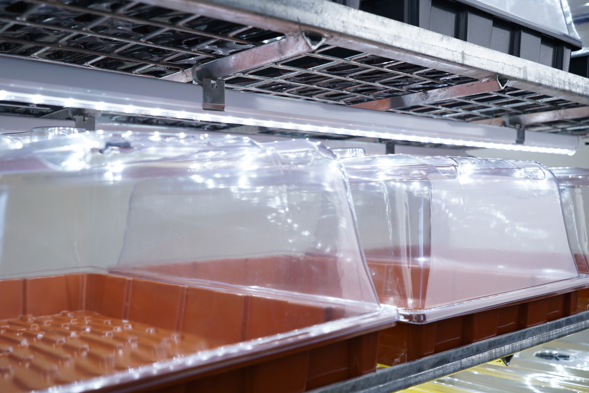 VP Dome completo - Image 2