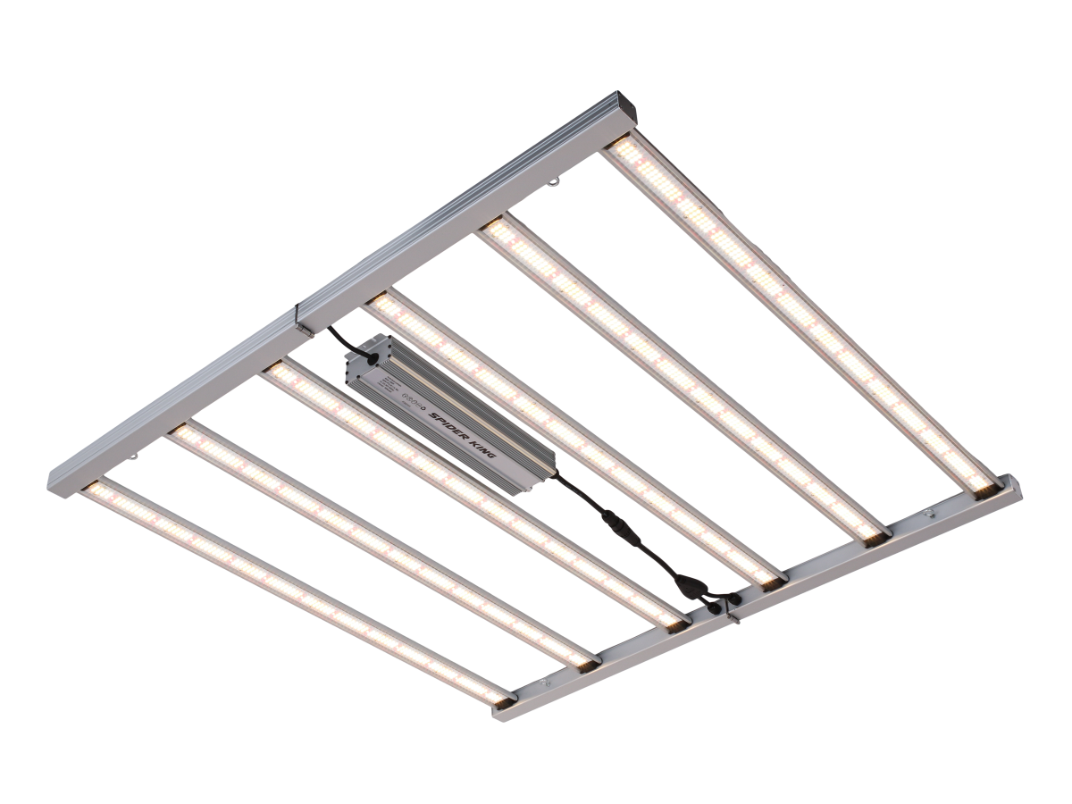 Sistema LED Spider King 720W (UK)