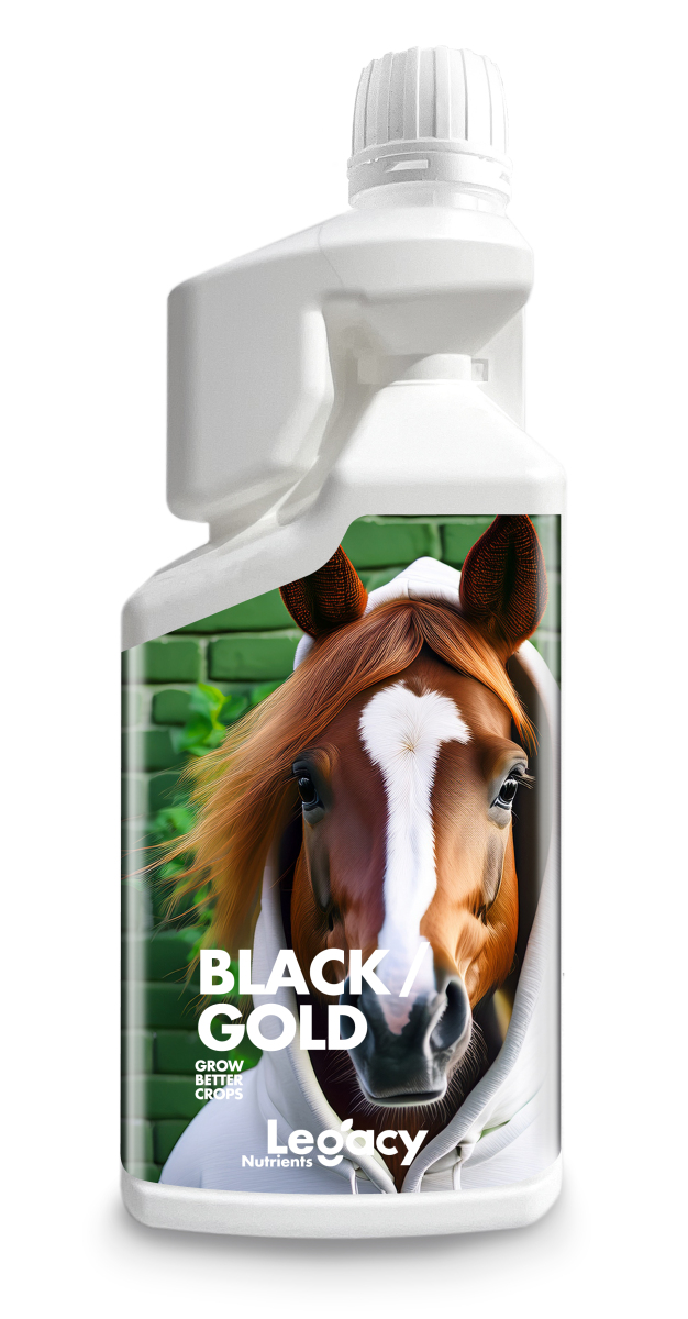 Black Gold 250ml Legacy