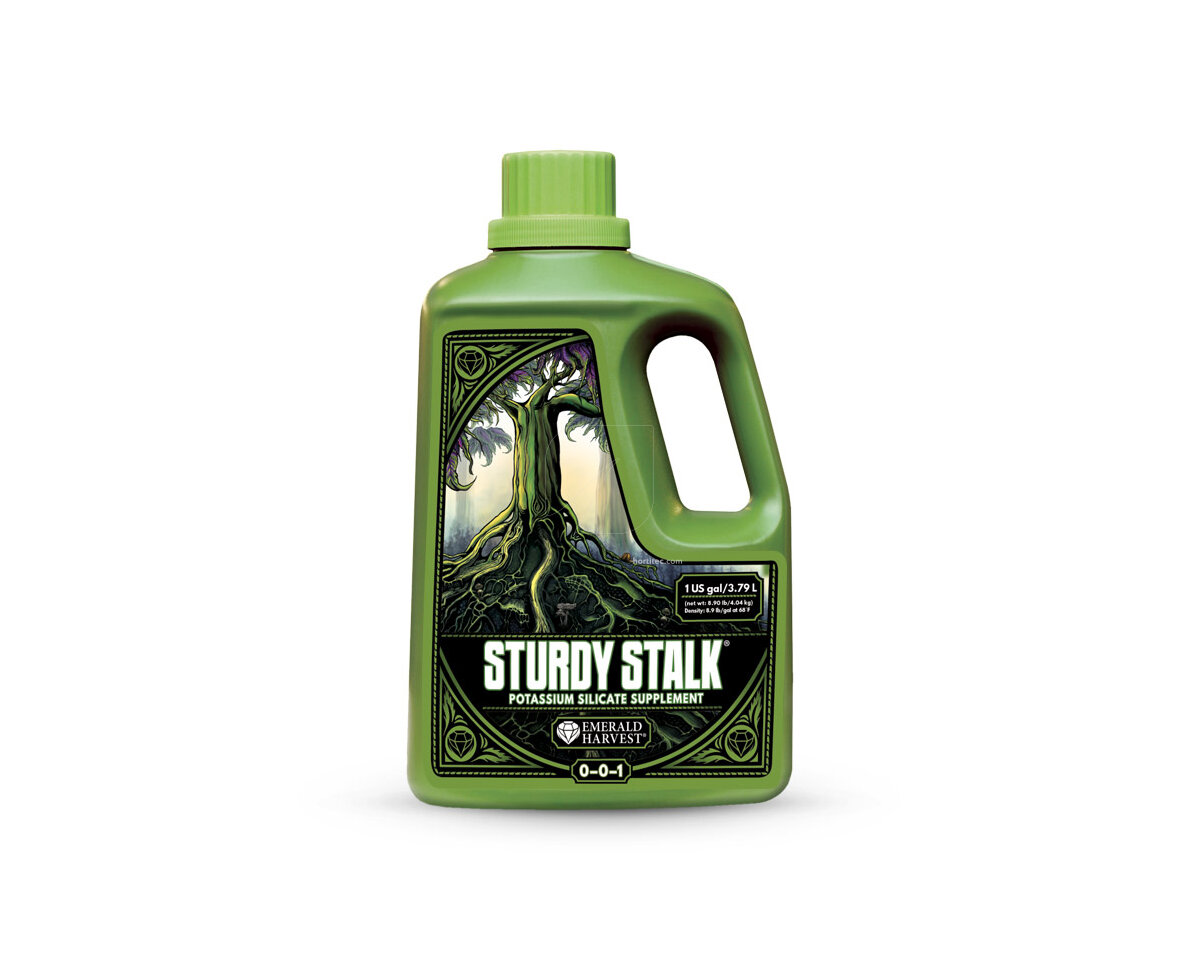 Sturdy stalk 3.79 L Emerald Harvest