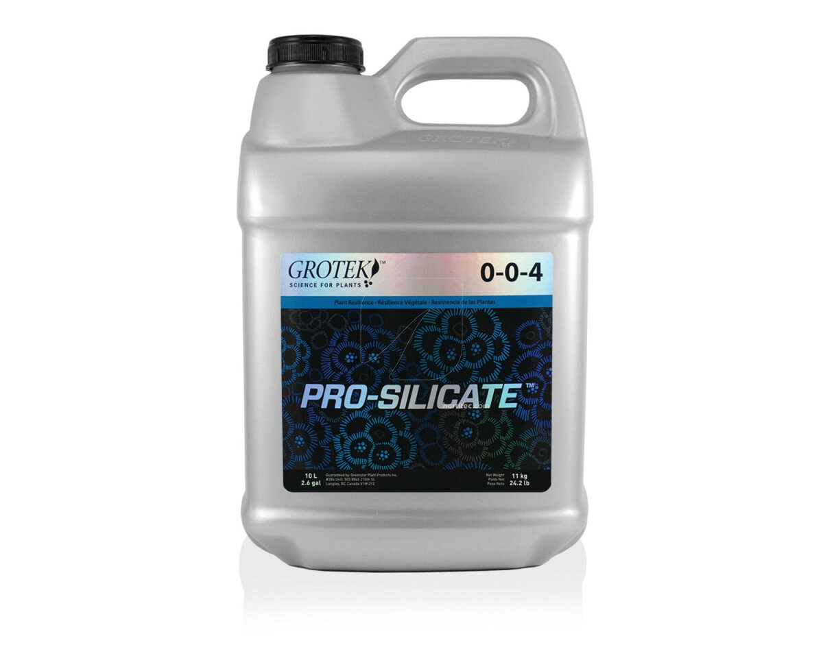 Pro silicate 10 l