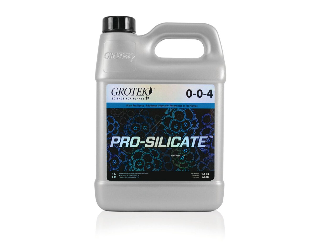 Pro silicate 1 l