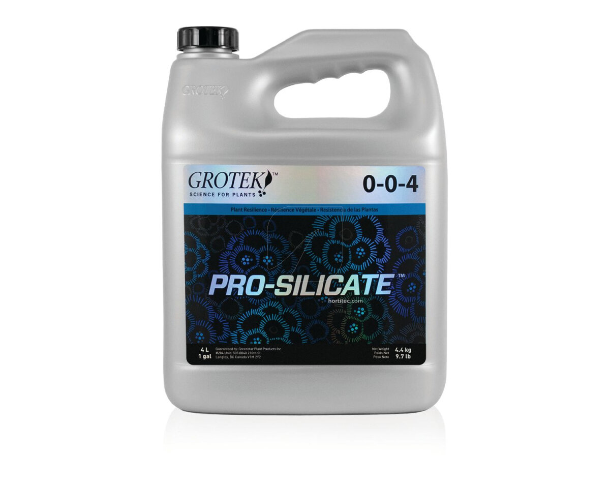 Pro silicate 4 l
