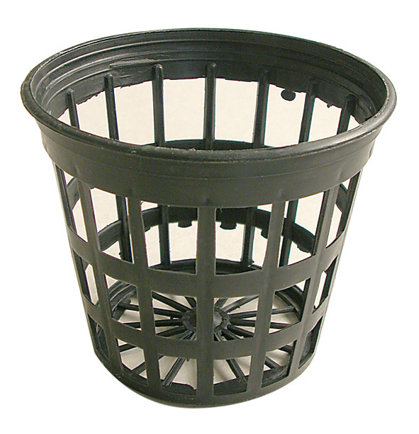 Tiesto 2" 5cm Terra Aquatica