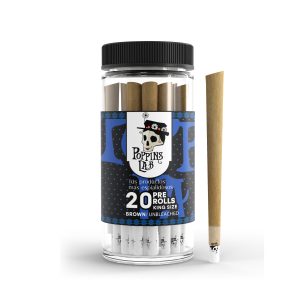 Conos ks marrón/sin blanquear (20 uds) Poppins Lab