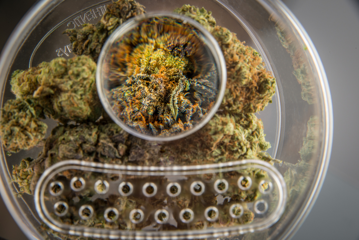 Canna-Pod white Bud Bar - Image 4