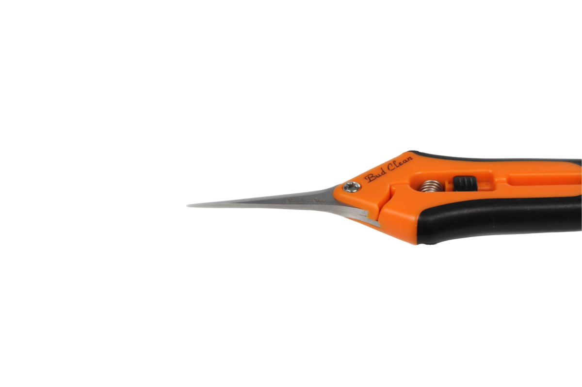 Tijera Bud Clean Punta Recta