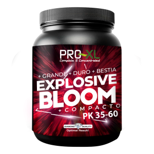 Explosivo Bloom 5kg Pro-XL