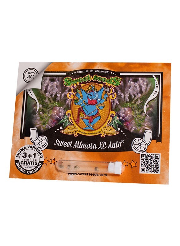 Sweet Mimosa XL auto (3) Sweet Seeds