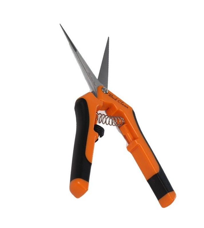 Bud Clean Long Blade Scissors - Image 2