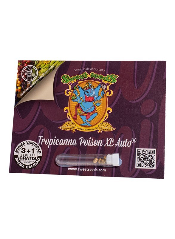 Tropicanna poison XL auto (5) sweet seeds