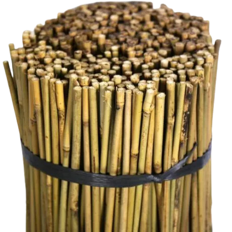 Tutor bambu 1,05 m - 8/10 mm