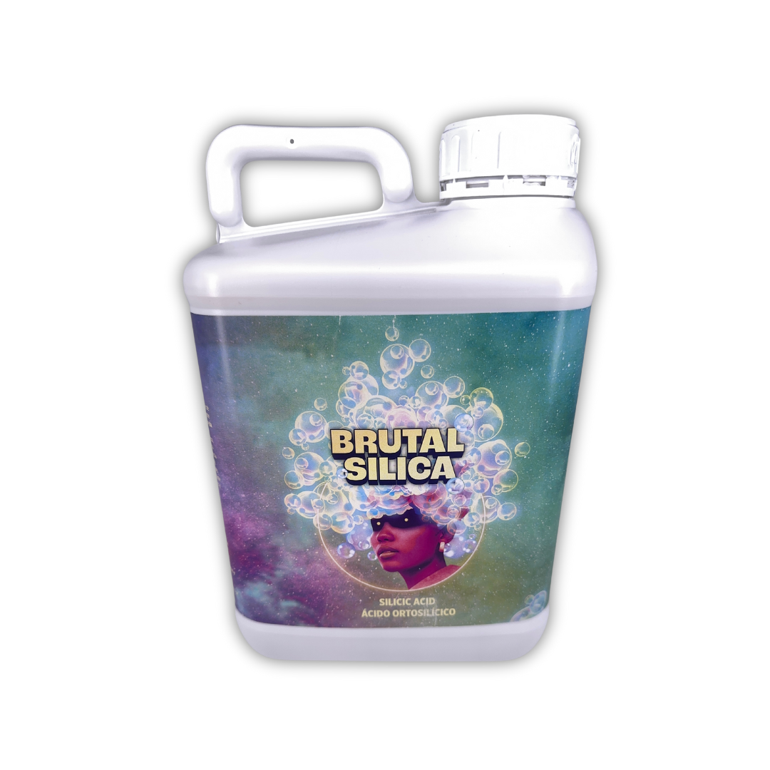 Brutal Silica 5 L