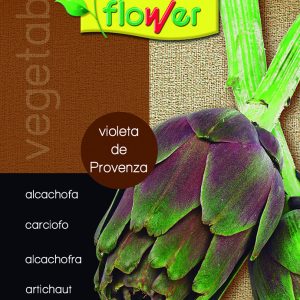 Alcachofa violeta provenzal