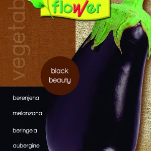 Berenjena black beauty