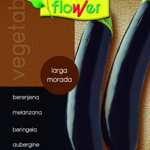 Berenjena larga morada