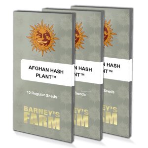 Afghan Hash Plant (10)