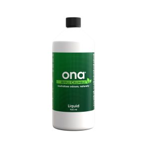 Ona liquid apple crumble  922 ml