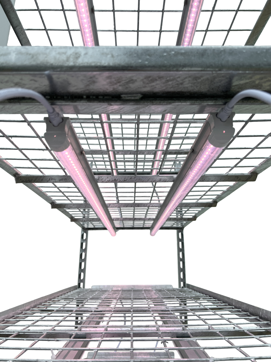 Carro de propagación - Image 3