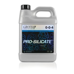 Pro silicate 1 l