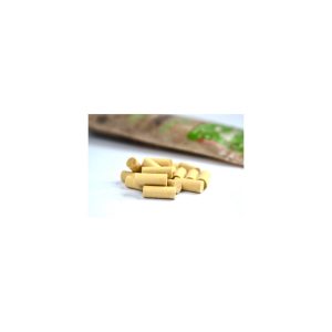 Filtro Biodegradable